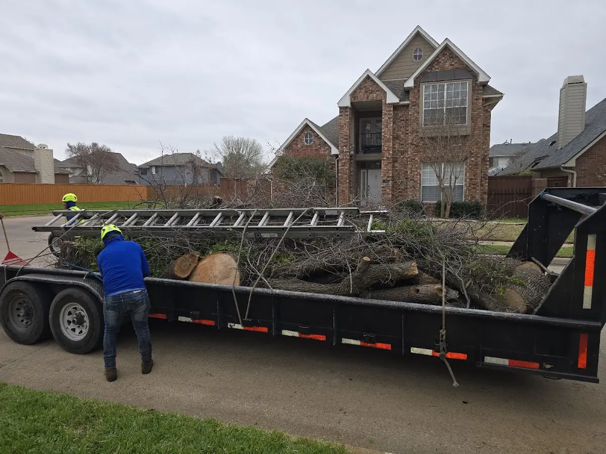 Expert Tree Removal with proper safety equipment in Hiram